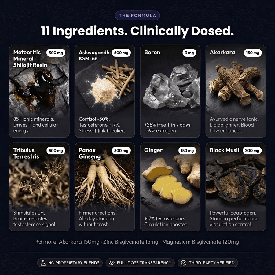 11 Ingredients. Every Dose Published. Zero Fillers.