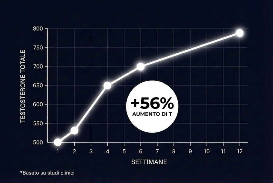 IL NUOVO STANDARD