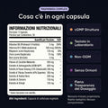 Astralith - Complesso Minerale Meteoritico