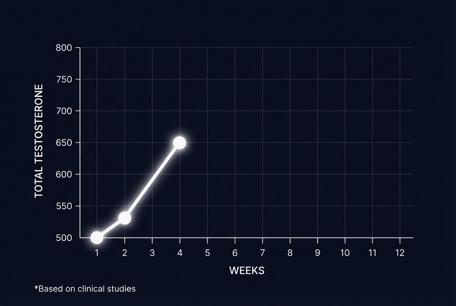 THE RISE