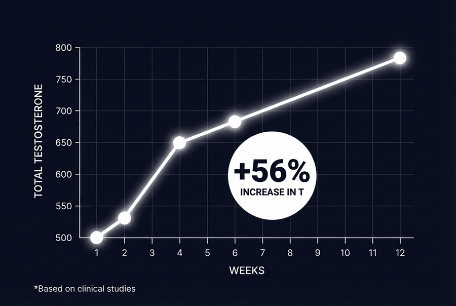 +56% Free Testosterone. Peer-Reviewed. Not Marketing Copy.