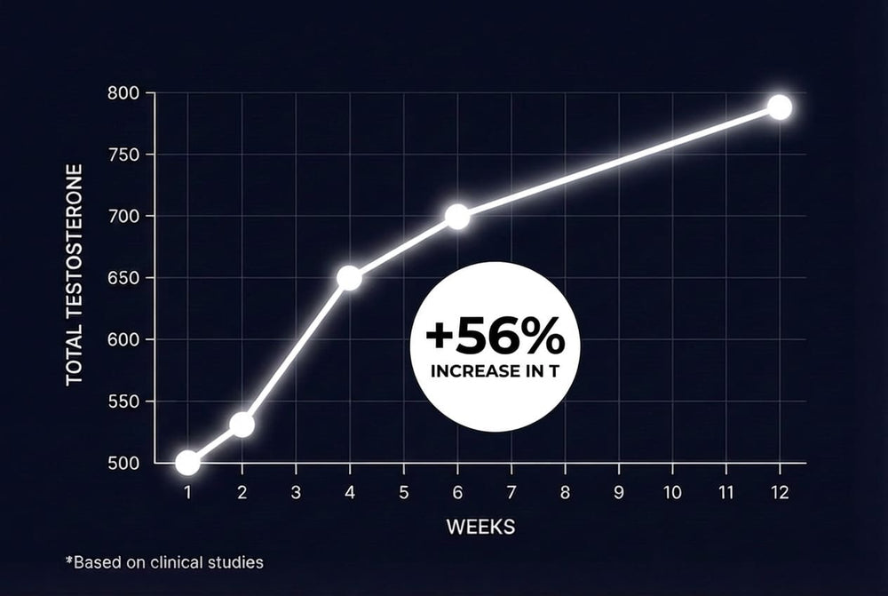 +56% INCREASE IN TOTAL TESTOSTERONE