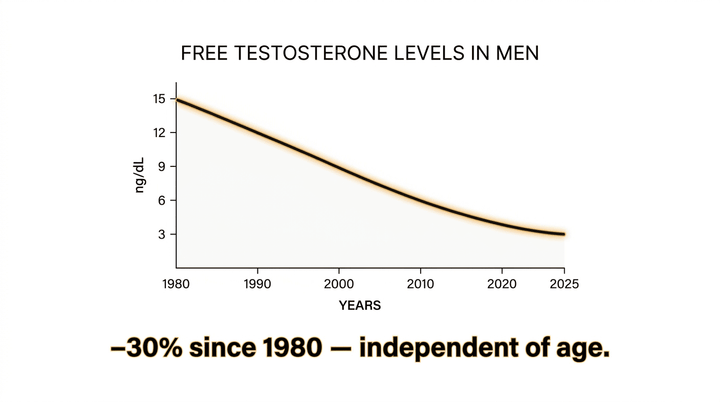 Testosterone drop chart